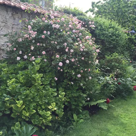 巴黎河滨旅馆 4*